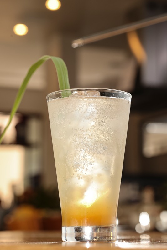 Cidreira aromática
